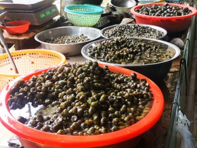 ​好吃的螺蛳肉家常做法，香辣下饭无腥味，简单几步就搞定