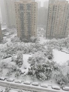 ​南方暴雪真的来了！黑色暴雪区覆盖3省，南方降雪量比北方还大