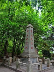 ​3月12日是植树节，也是孙中山纪念日，是巧合吗？- 方志江苏