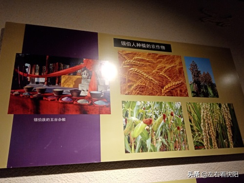 锡伯人饮食介绍，部分图片赏析