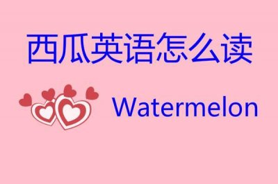 ​西瓜英语怎么读？