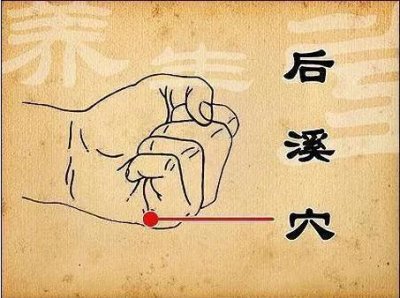 ​神奇的后溪穴，调节后背气血的穴位，预防颈椎腰椎疾病的要穴