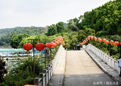 ​东莞虎英公园