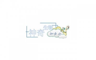​什么是认知行为疗法认知能力认知心态学