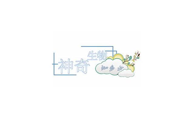 什么是认知行为疗法认知能力认知心态学